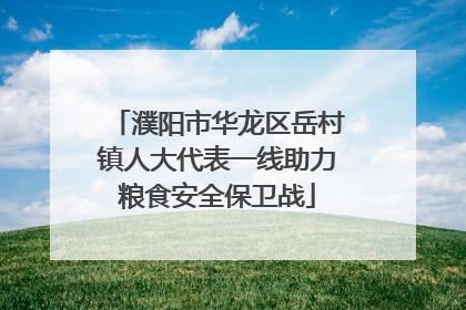 濮阳市华龙区岳村镇人大代表一线助力粮食安全保卫战