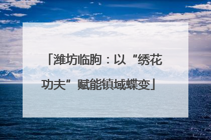 潍坊临朐：以“绣花功夫”赋能镇域蝶变
