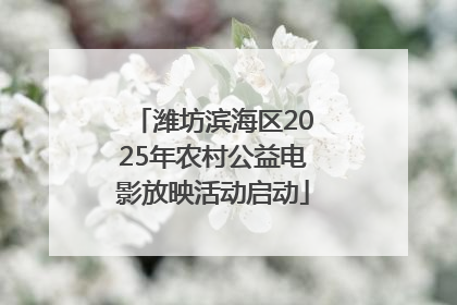 潍坊滨海区2025年农村公益电影放映活动启动