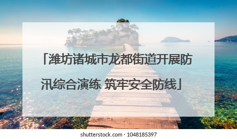 潍坊诸城市龙都街道开展防汛综合演练 筑牢安全防线