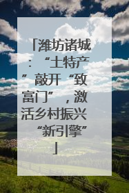 潍坊诸城：“土特产”敲开“致富门”，激活乡村振兴“新引擎”