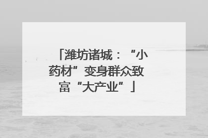 潍坊诸城：“小药材”变身群众致富“大产业”