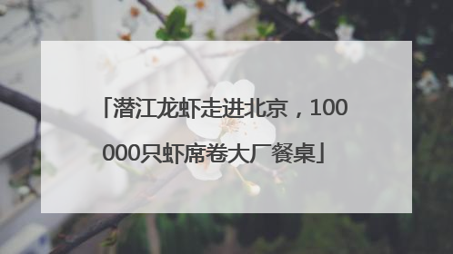 潜江龙虾走进北京，100000只虾席卷大厂餐桌