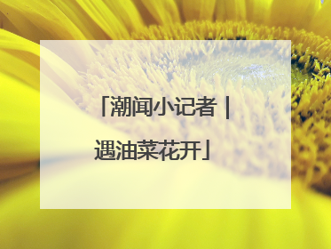 潮闻小记者｜遇油菜花开