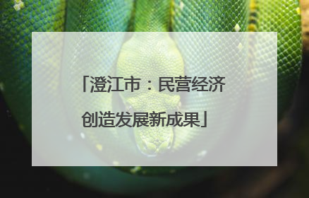 澄江市：民营经济创造发展新成果