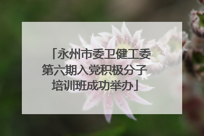 永州市委卫健工委第六期入党积极分子培训班成功举办