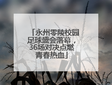 永州零陵校园足球盛会落幕，36场对决点燃青春热血
