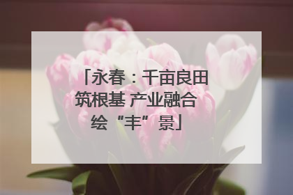永春：千亩良田筑根基 产业融合绘“丰”景