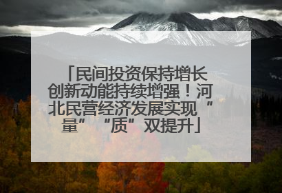 民间投资保持增长 创新动能持续增强！河北民营经济发展实现“量”“质”双提升