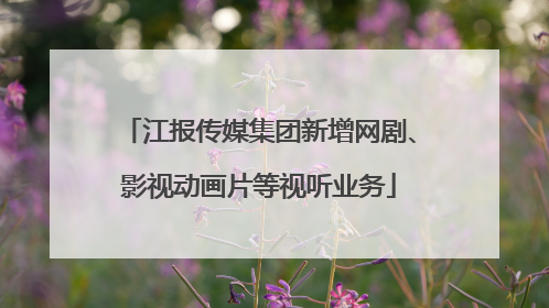 江报传媒集团新增网剧、影视动画片等视听业务