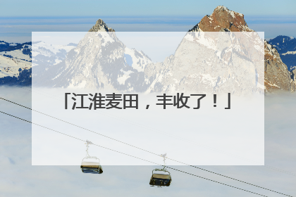 江淮麦田，丰收了！