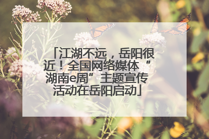 江湖不远，岳阳很近！全国网络媒体“湖南e周”主题宣传活动在岳阳启动