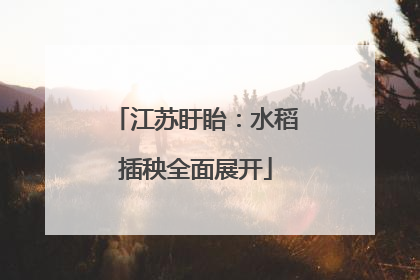 江苏盱眙：水稻插秧全面展开