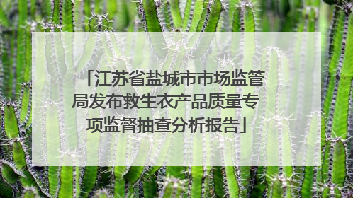 江苏省盐城市市场监管局发布救生衣产品质量专项监督抽查分析报告
