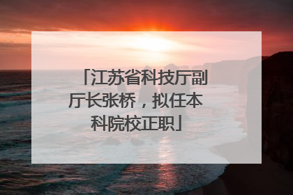 江苏省科技厅副厅长张桥，拟任本科院校正职