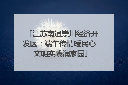 江苏南通崇川经济开发区：端午传情暖民心 文明实践润家园