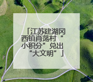 江苏建湖冈西镇肖荡村“小积分”兑出“大文明”