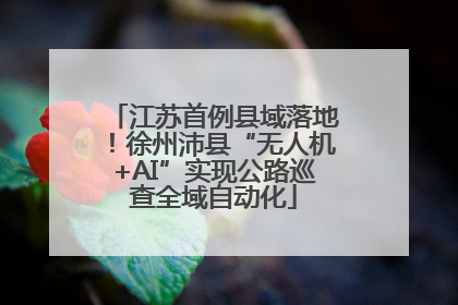 江苏首例县域落地！徐州沛县“无人机+AI”实现公路巡查全域自动化