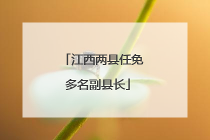 江西两县任免多名副县长