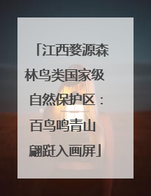 江西婺源森林鸟类国家级自然保护区：百鸟鸣青山 翩跹入画屏