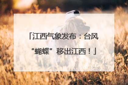 江西气象发布：台风“蝴蝶”移出江西！