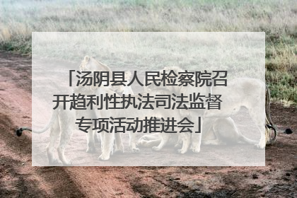 汤阴县人民检察院召开趋利性执法司法监督专项活动推进会