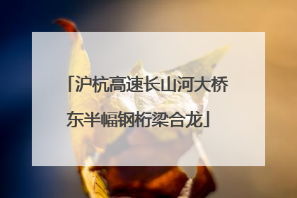 沪杭高速长山河大桥东半幅钢桁梁合龙