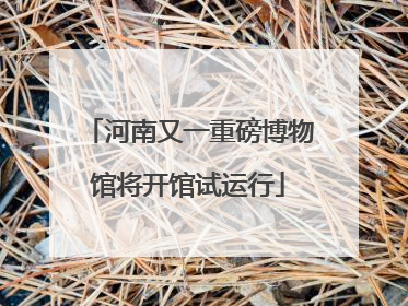 河南又一重磅博物馆将开馆试运行