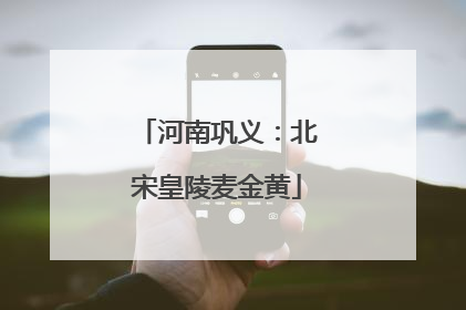 河南巩义：北宋皇陵麦金黄