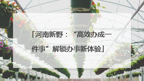 河南新野：“高效办成一件事”解锁办事新体验