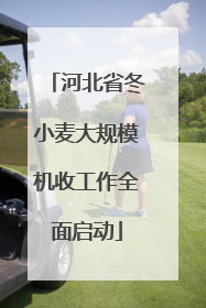 河北省冬小麦大规模机收工作全面启动