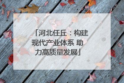 河北任丘：构建现代产业体系 助力高质量发展