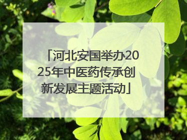 河北安国举办2025年中医药传承创新发展主题活动