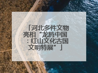 河北多件文物亮相“龙腾中国：红山文化古国文明特展”
