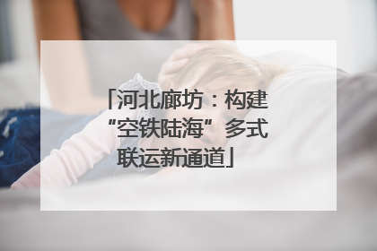 河北廊坊：构建“空铁陆海”多式联运新通道