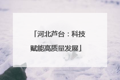 河北芦台：科技赋能高质量发展
