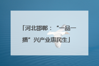 河北邯郸：“一品一播”兴产业惠民生