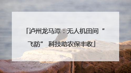泸州龙马潭：无人机田间“飞防” 科技助农保丰收