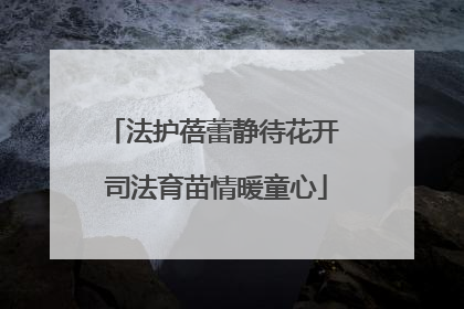 法护蓓蕾静待花开 司法育苗情暖童心