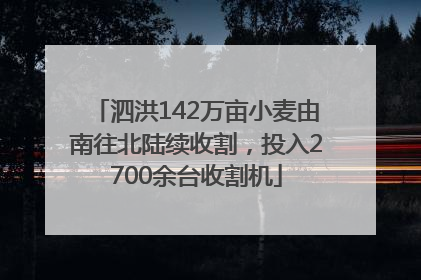 泗洪142万亩小麦由南往北陆续收割，投入2700余台收割机