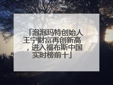 泡泡玛特创始人王宁财富再创新高，进入福布斯中国实时榜前十