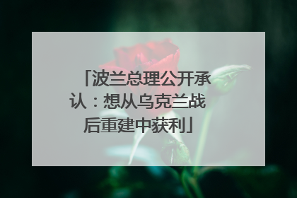波兰总理公开承认：想从乌克兰战后重建中获利