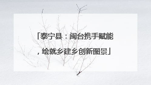 泰宁县：闽台携手赋能，绘就乡建乡创新图景