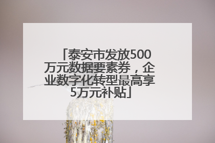 泰安市发放500万元数据要素券，企业数字化转型最高享5万元补贴