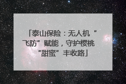 泰山保险：无人机“飞防”赋能，守护樱桃“甜蜜”丰收路