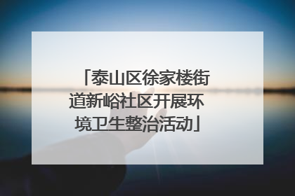 泰山区徐家楼街道新峪社区开展环境卫生整治活动