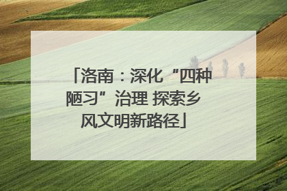 洛南：深化“四种陋习”治理 探索乡风文明新路径