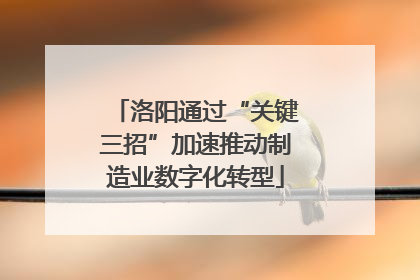 洛阳通过“关键三招”加速推动制造业数字化转型