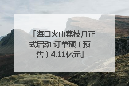 海口火山荔枝月正式启动 订单额（预售）4.11亿元