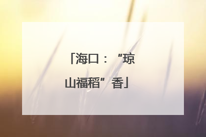 海口：“琼山福稻”香